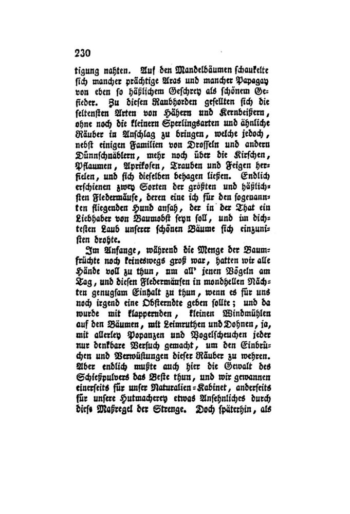Scan 0251 of Der Schweizerische Robinson oder der schiffbrüchige Schweizer-Prediger und seine Familie (Band 4)