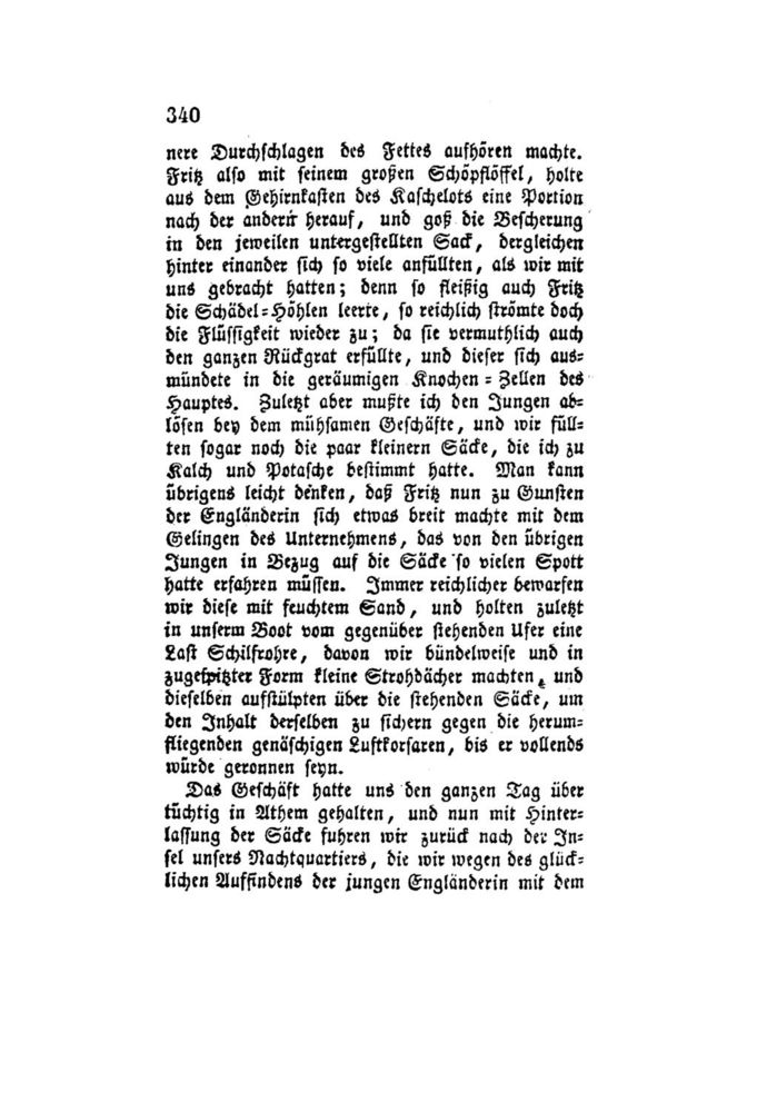 Scan 0363 of Der Schweizerische Robinson oder der schiffbrüchige Schweizer-Prediger und seine Familie (Band 4)